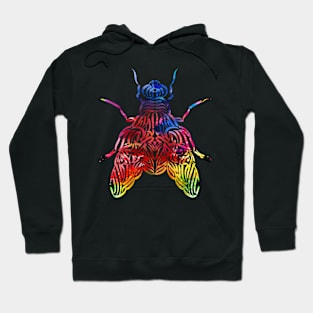 Fly Hoodie